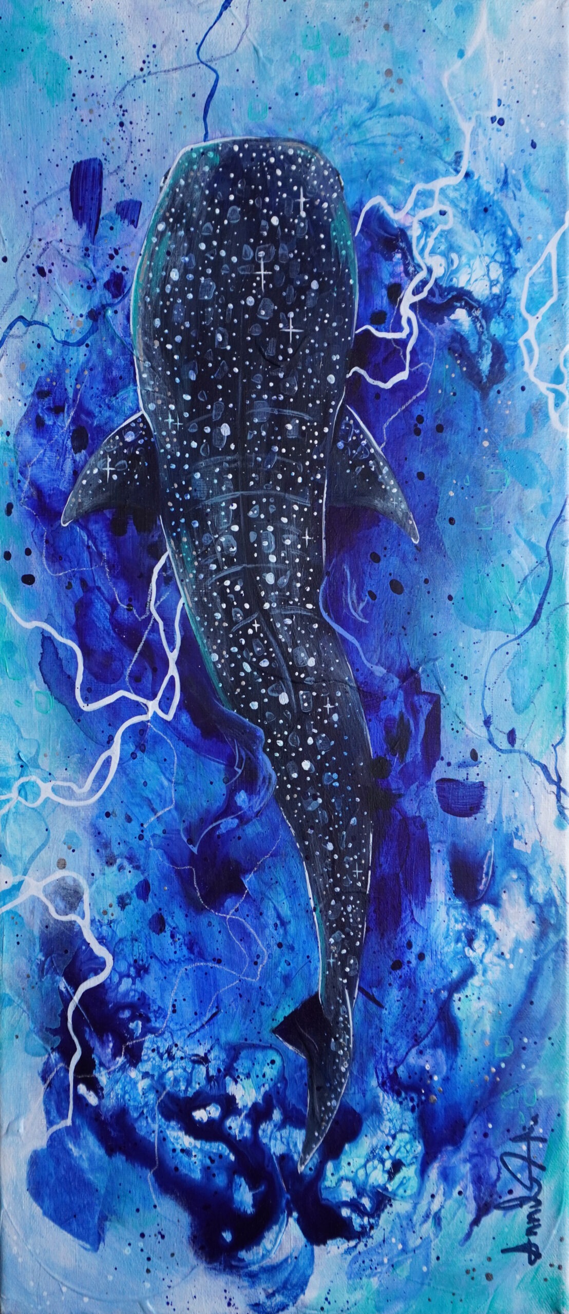 Requin du ciel (Originale)